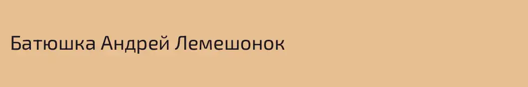 Батюшка Андрей Лемешонок